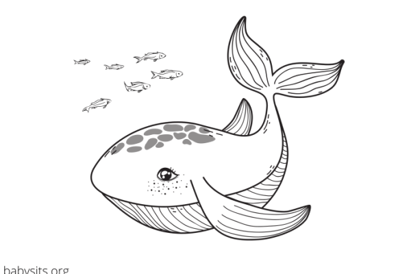 Free printable coloring pages ocean animals