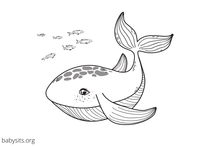 Free printable coloring pages ocean animals