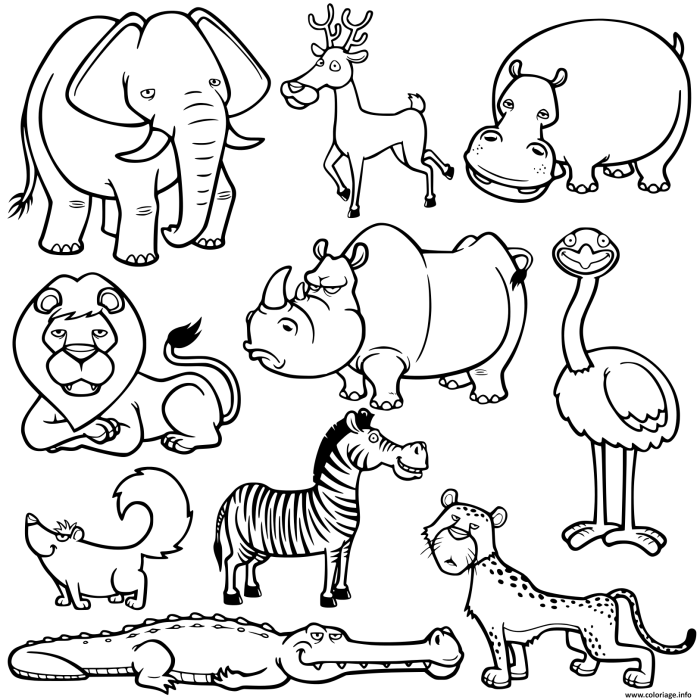 Coloring sheets animals pdf