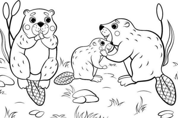 Animal coloring pages to print and color