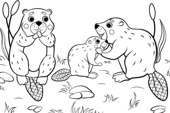 Coloring pictures of animals to print