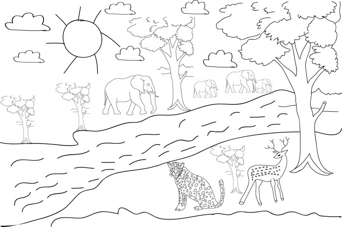 Animated baby forest animals coloring pages