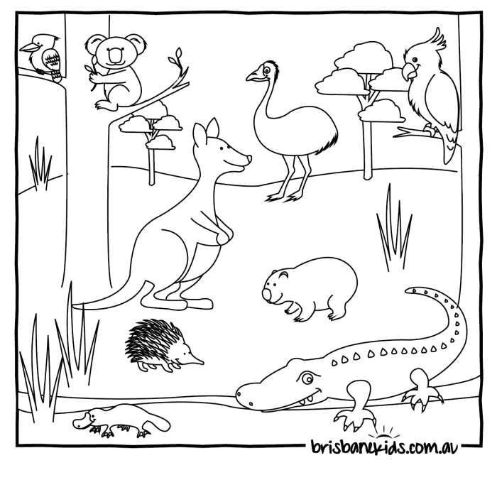 Animals in australia coloring sheets