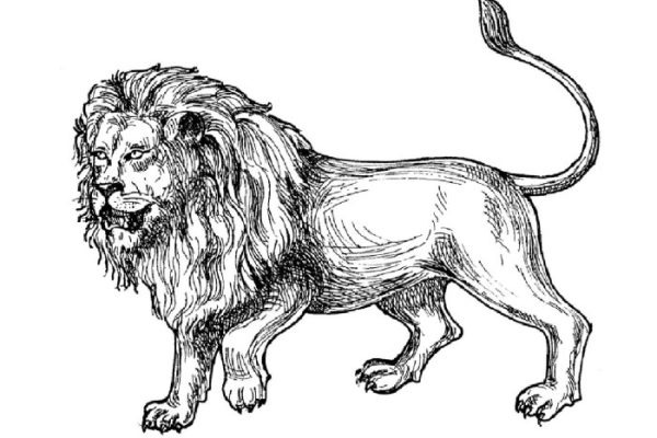 Animated baby lions coloring pages