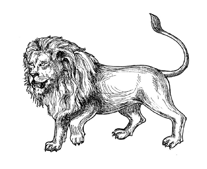 Animated baby lions coloring pages