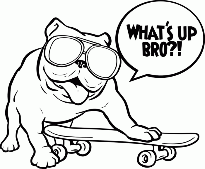 Coloring pages funny animals