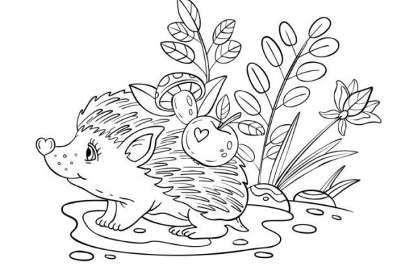 Autumn animals coloring pages