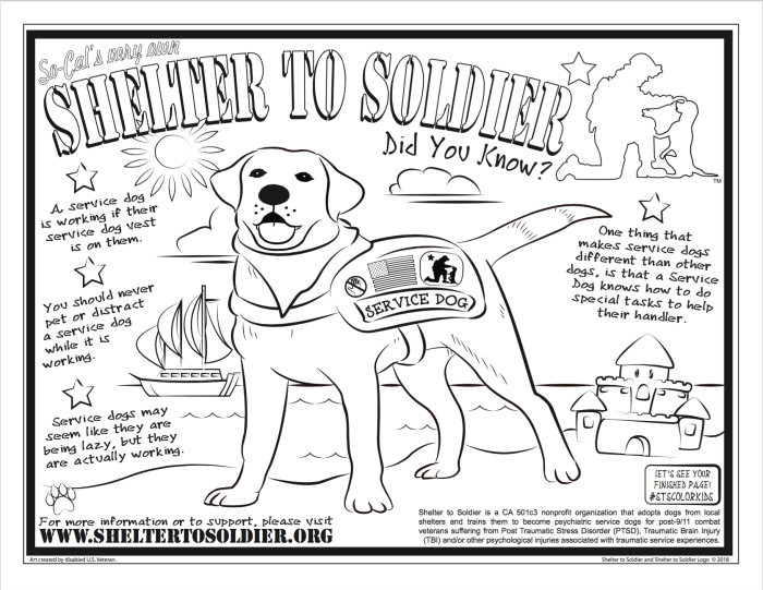 Animal shelter coloring books