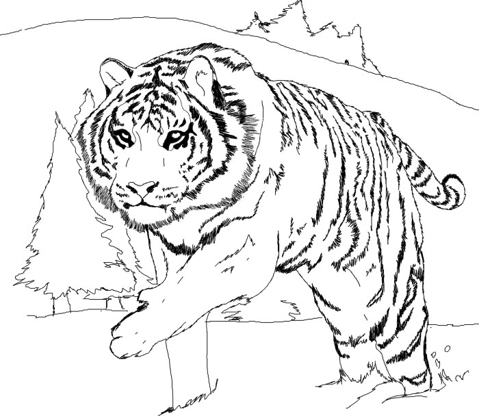 Animal coloring pages of tigers