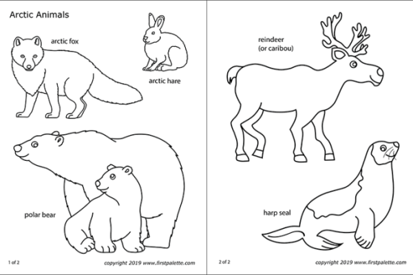 Arctic animal coloring pages