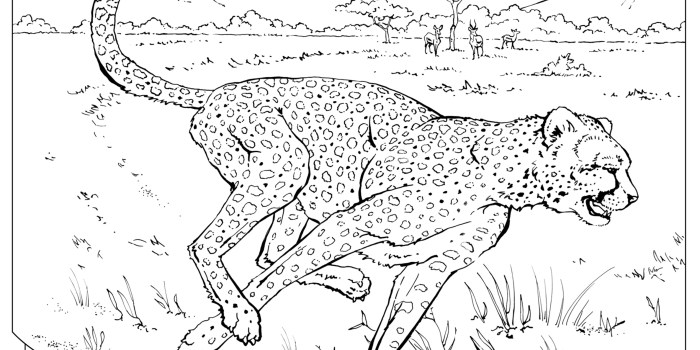 Realistic animal coloring pages printable