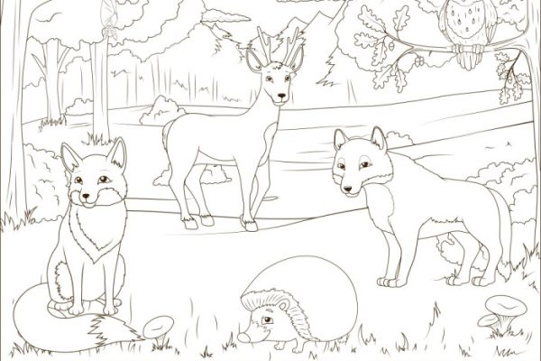 Forest animals worksheet coloring