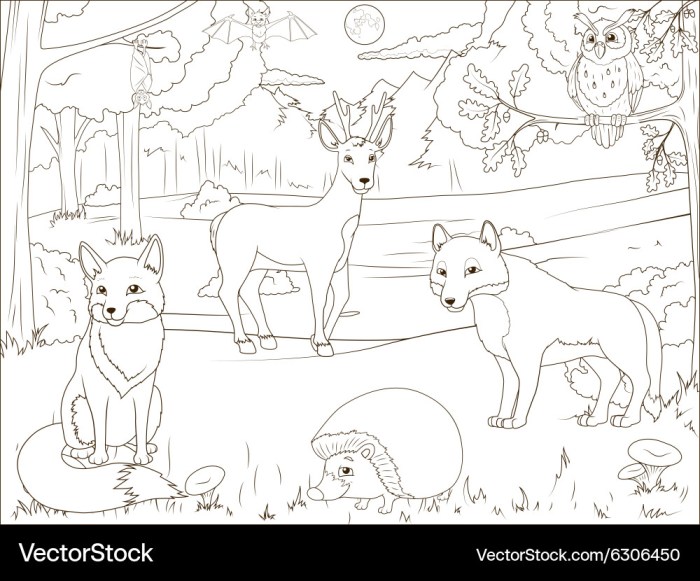 Forest animals worksheet coloring