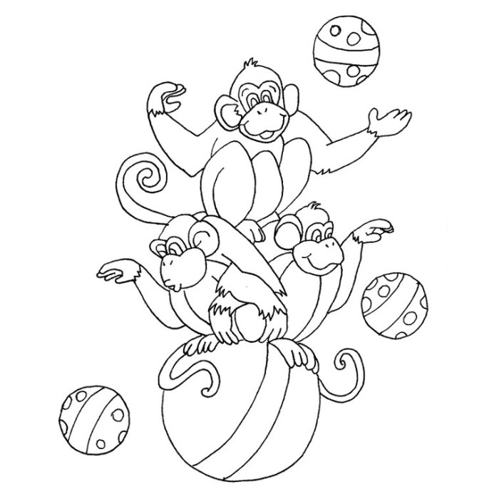 Carnival of the animals coloring pages pdf