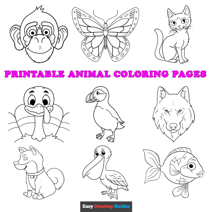 Animal coloring pages for kids to print