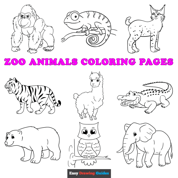 Animal coloring pages chart