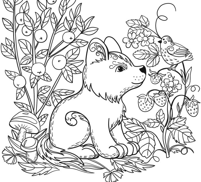 Animal coloring pages without patterns