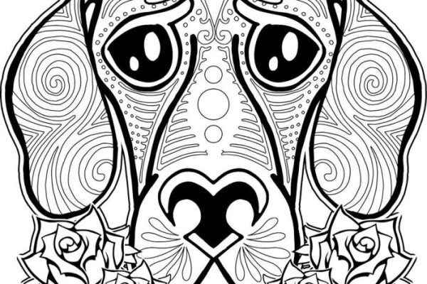 Coloring pages of pretty eye animals