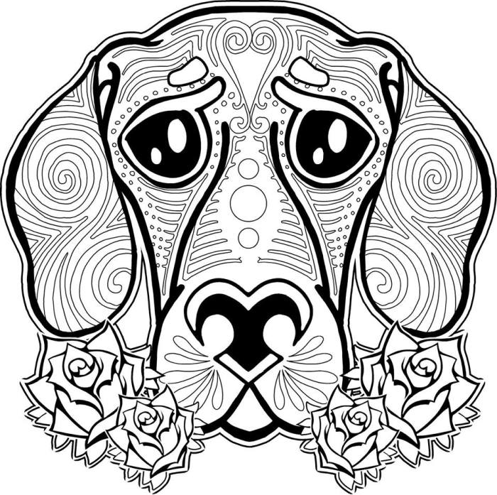 Coloring pages of pretty eye animals