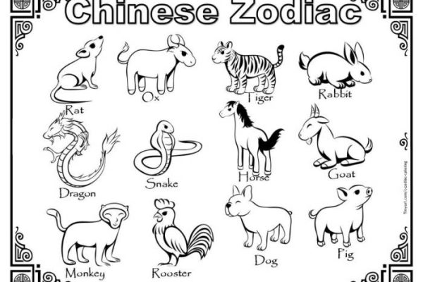 Chinese year animal coloring book