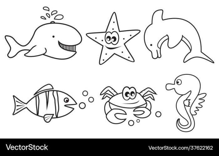 Sea animals coloring book