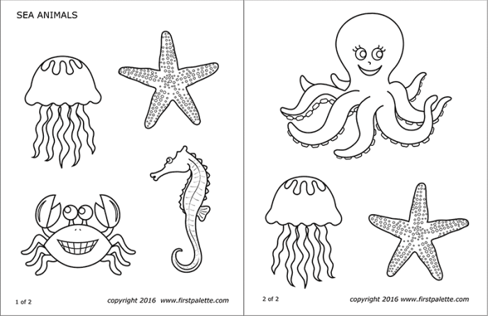 Sea animals for coloring