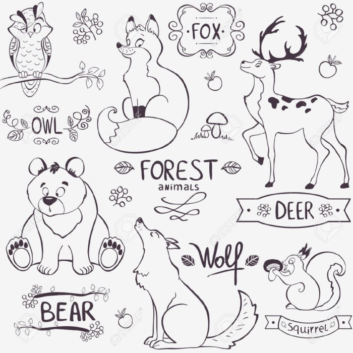 Forest animals worksheet coloring