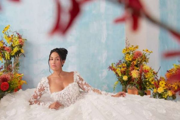 Nikki bella wedding dress