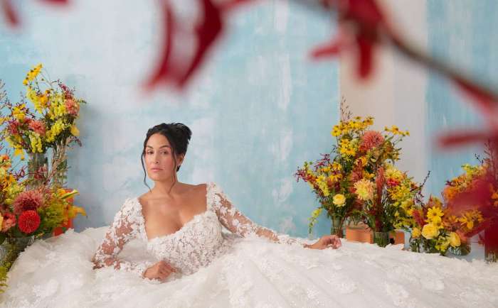 Nikki bella wedding dress